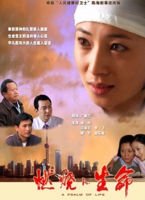 麻豆免费高清无砖码区