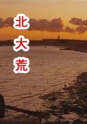 nahimic conpanion是什么软件
