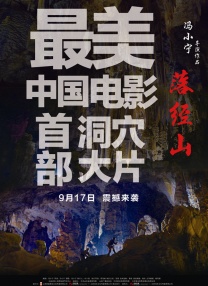 香蕉视频在线观看免费国产婷婷